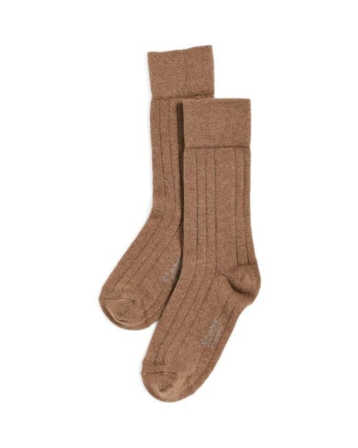 Stems Brown Stretch Cashmere Crew Socks