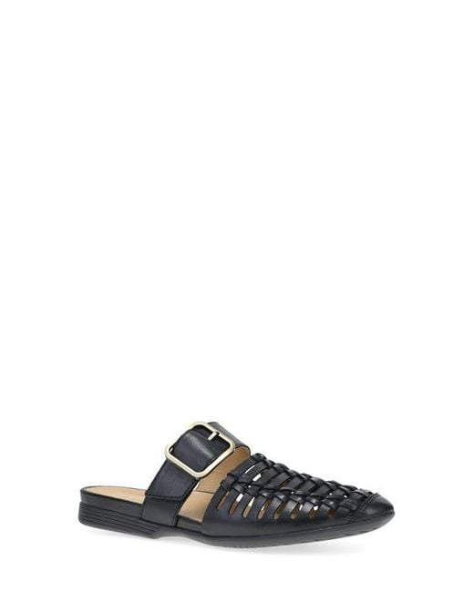 Dansko Blue Leilani Pointed Toe Mule