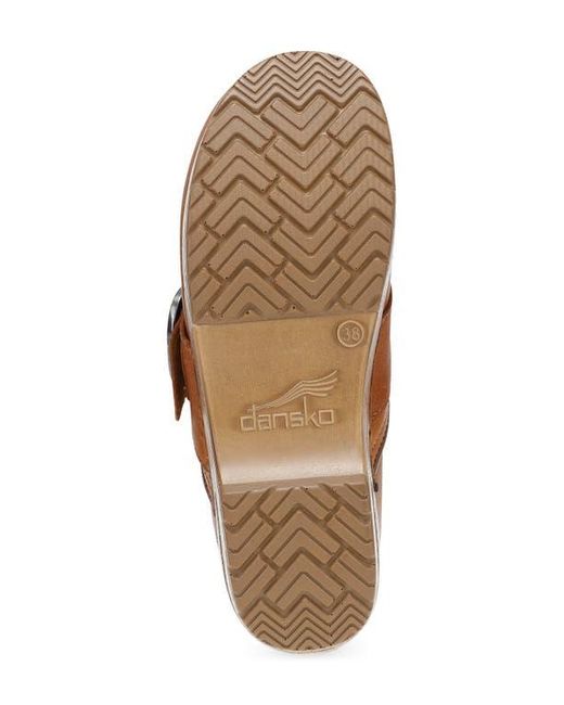 Dansko Brown Pearson Buckle Strap Clog