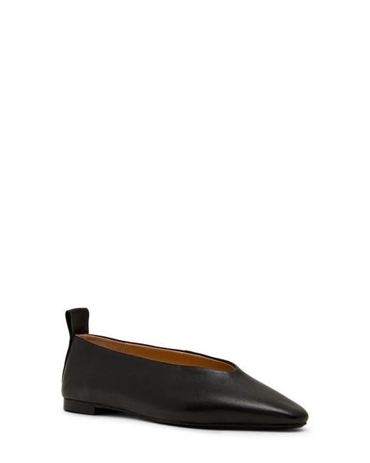Steve Madden Black Swanky Pointed Toe Flat
