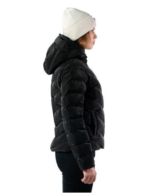 Woodpecker Black Robin Medium Weight Coat