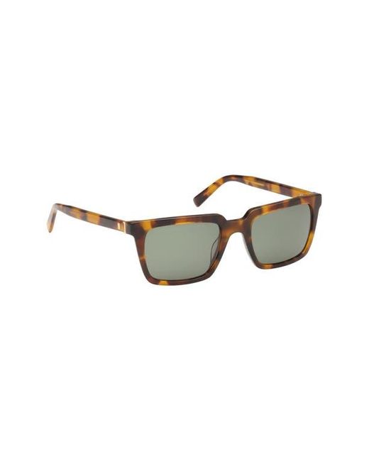Abercrombie & Fitch Multicolor 52Mm Rectangular Sunglasses for men