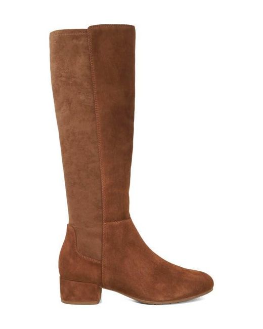 Dune Brown Tayla Knee High Boot