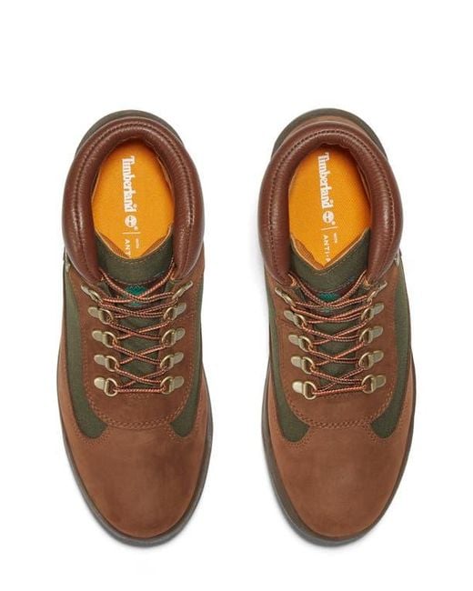 Timberland Brown Field Waterproof Boot for men