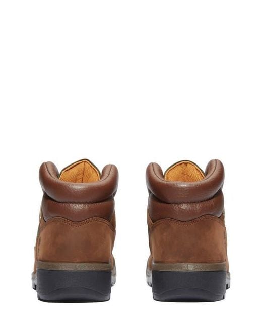 Timberland Brown Field Waterproof Boot for men