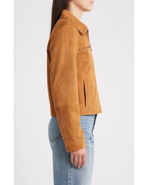 Bernardo Blue Stud Detail Suede Jacket