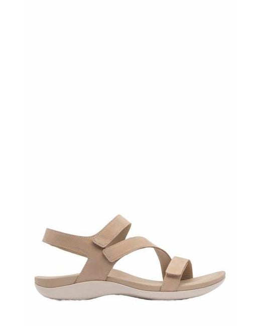 ABEO Brown Oasis Sandal
