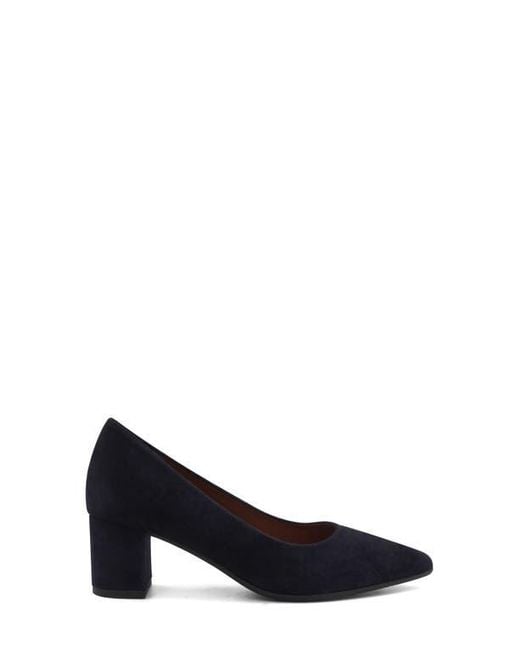 Aquatalia Blue Kari Weatherproof Pointed Toe Pump
