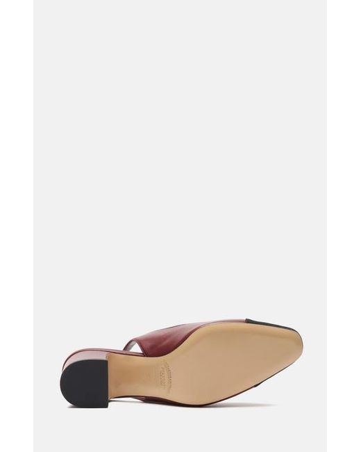 Scarosso Multicolor Miranda Pumps