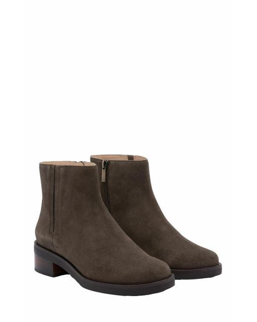 ABEO Brown Traverse Ankle Bootie