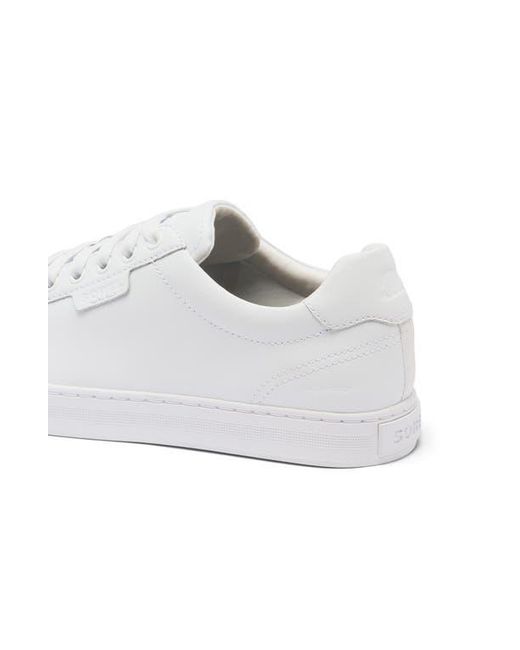 Sorel White Cyprus Wp Sneaker for men