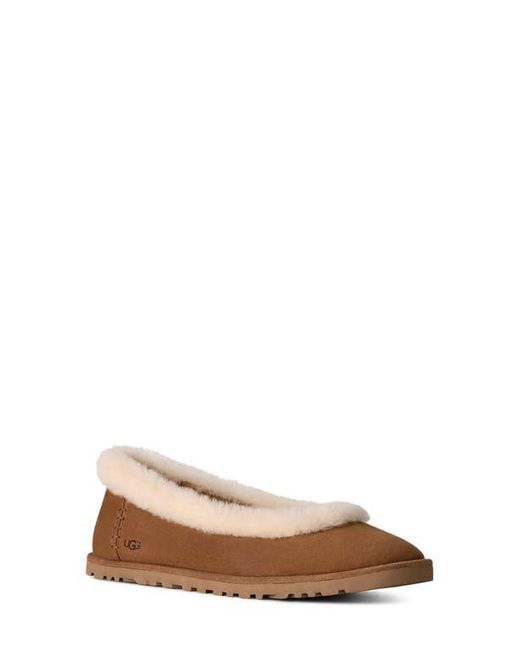 Ugg Natural Zora Genuine Shearling Trim Ballet Flat