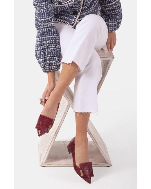 Bells & Becks Red Allegra Pointed Toe Flat