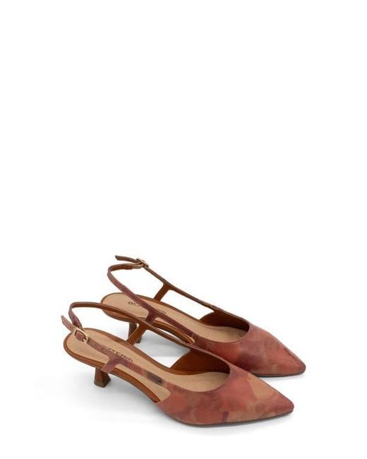 BOTTER Brown Botolivia Legacy Pointed Toe Slingback Pump