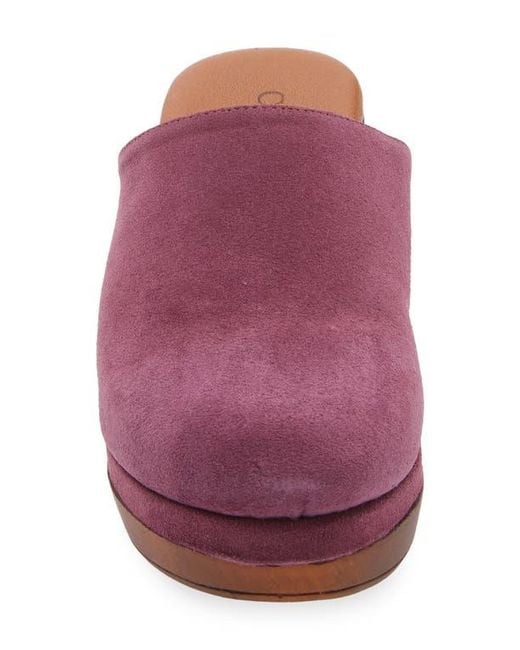 Cordani Purple Wanda Clog