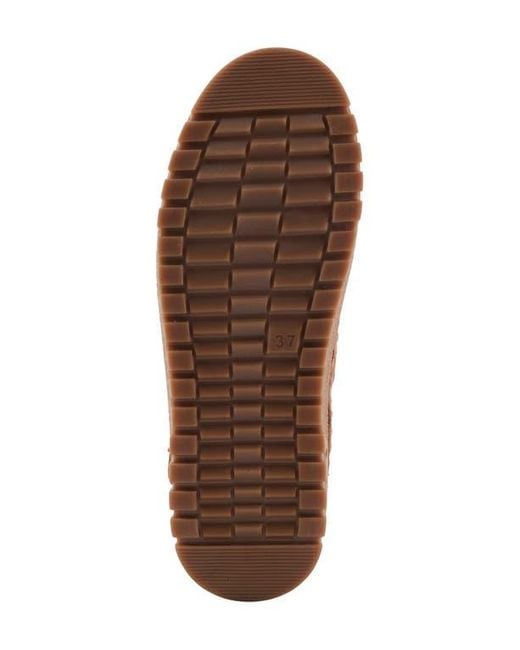 Spring Step Brown Vandis Bootie