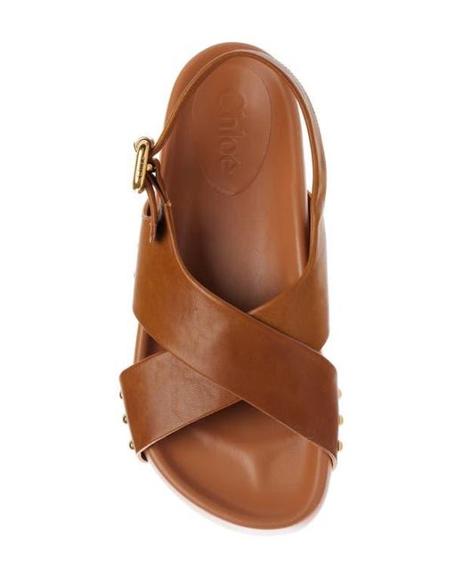 Chloé Brown Mae Paddington Sandal