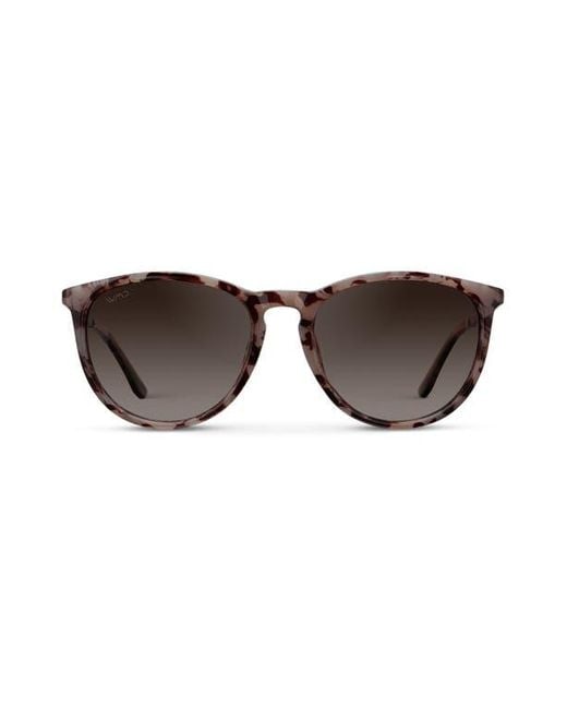 WMP Eyewear Brown Drew