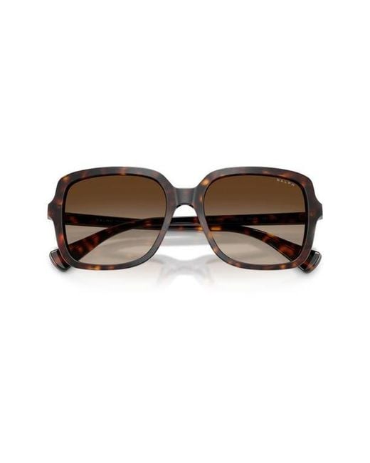 Ralph Brown 56Mm Gradient Square Sunglasses