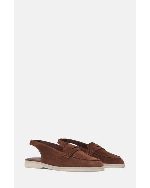 Scarosso Brown Leila Loafers