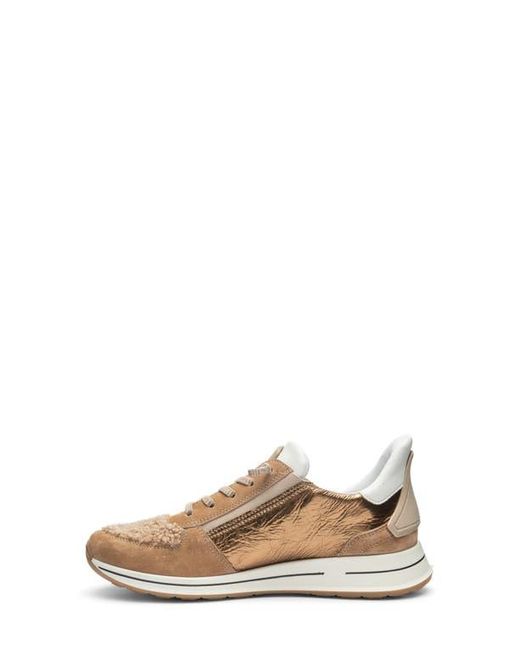 Ara Natural Ovation Sneaker