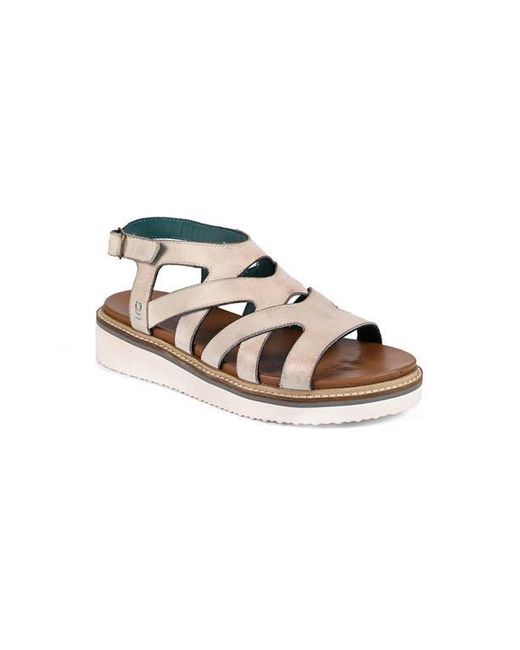 Roan Multicolor Centrist Sandal