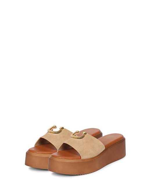 VIVI BLU Brown Senna Platform Wedge Slide Sandal