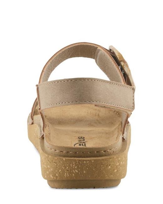 Flexus by Spring Step Brown Bravies Ankle Strap Sandal