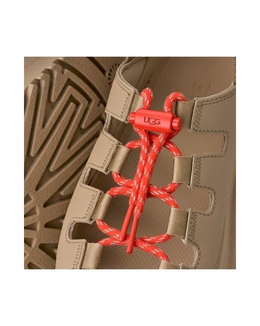 Ugg Brown Goldenglow Sandal