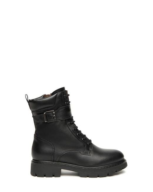 Nero Giardini Black Buckle Combat Boot