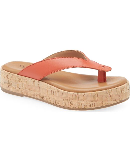 Cordani Pink Kendra Platform Flip Flop