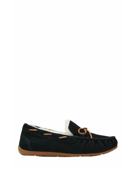 ABEO Black Amble Bow Slipper