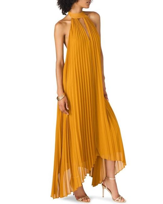 Steve Madden Brown Maraya Pleated Halter Dress