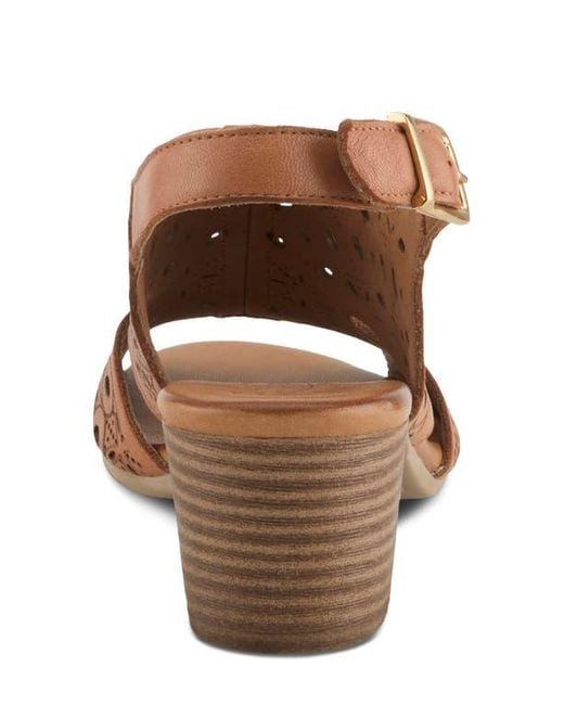 Spring Step Brown Kovach Slingback Sandal