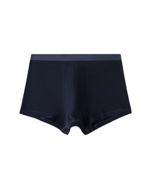 Mango Blue 3-Pack Boxer Briefs for men