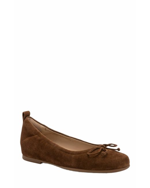 ABEO Brown Cadence Bow Ballet Flat