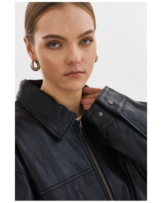 Lamarque Black Theia
