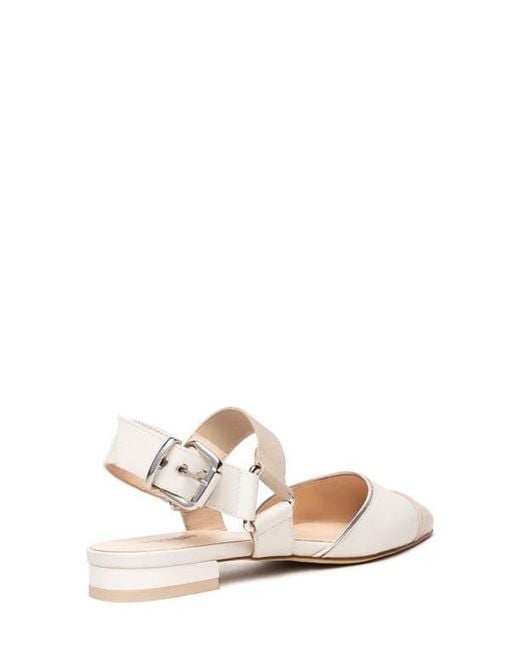 Nero Giardini White Pointed Toe Flat