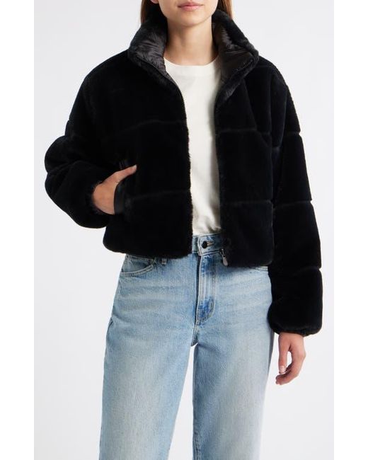 Save The Duck Black Yuki Reversible Jacket
