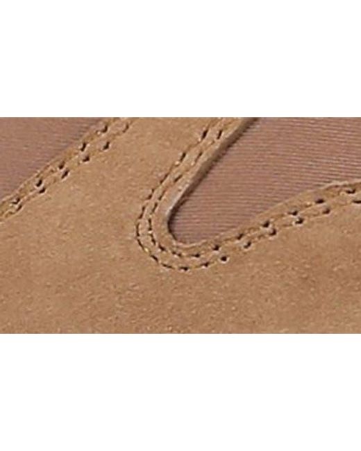 Sam Edelman Brown Zaria Low Top Sneaker
