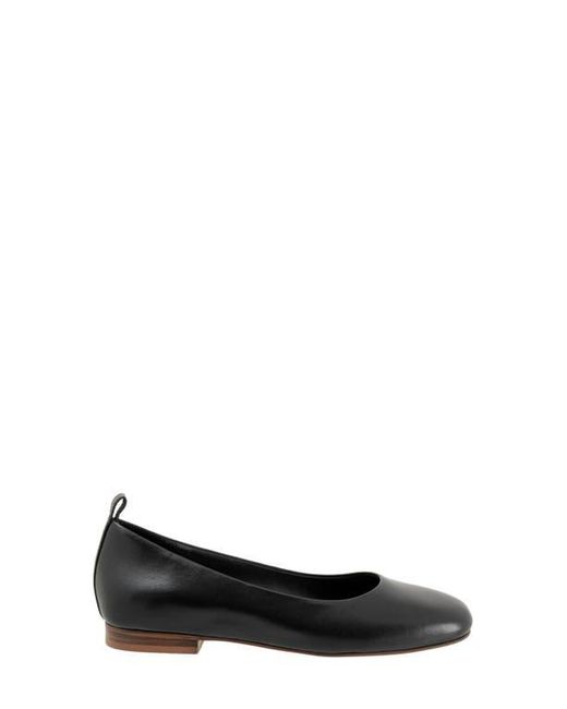 Softwalk® Black Kiris Flat