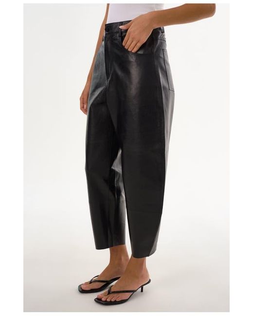Lamarque Black Fenne