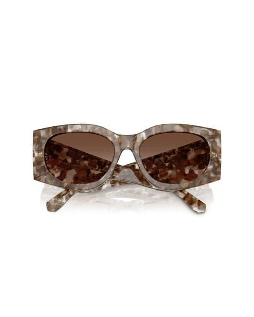 Tory Burch Brown Large Sunglasses