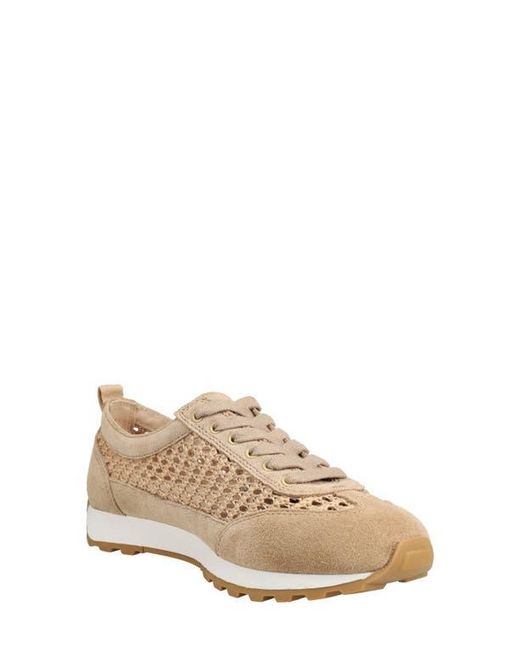 Pelle Moda Natural Kimsy Lace-Up Sneaker