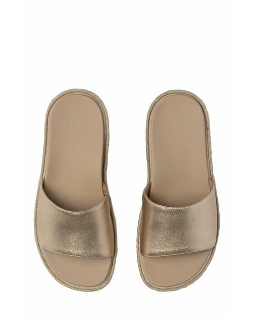 ABEO Multicolor Solstice Slide