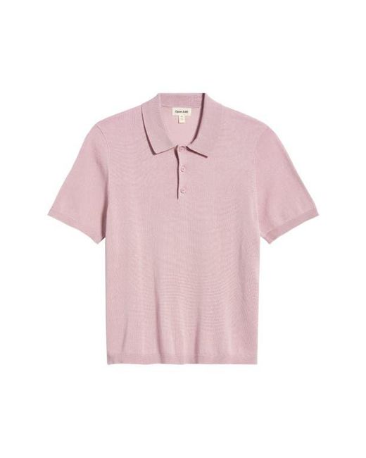 Open Edit Purple Solid Cotton Blend Polo Sweater for men