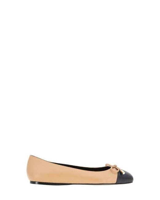BCBGMAXAZRIA Multicolor Hartly Cap Toe Ballet Flat