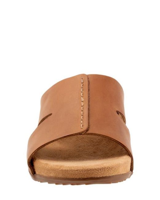 Softwalk® Brown Beverly Sandal