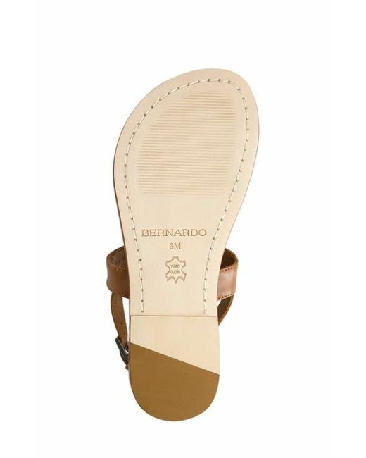 Bernardo Brown Maverick 2 Toe Loop Sandal