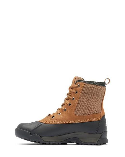 Sorel Brown Buxton Lite Waterproof Boot for men